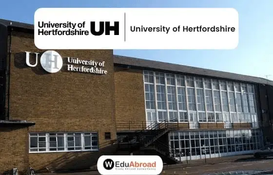 MSc Global Business Management